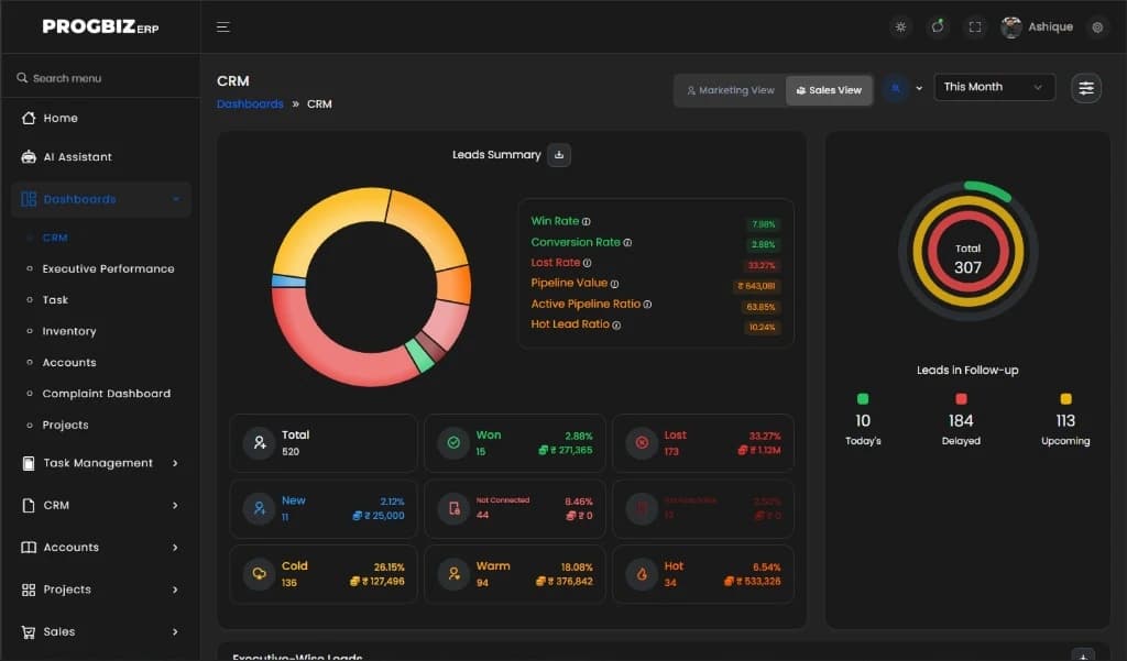 Progbiz Sales Team screen: team lead and members of the main branch