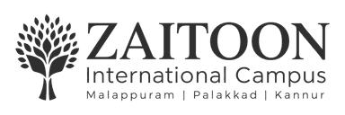 Zaitoon