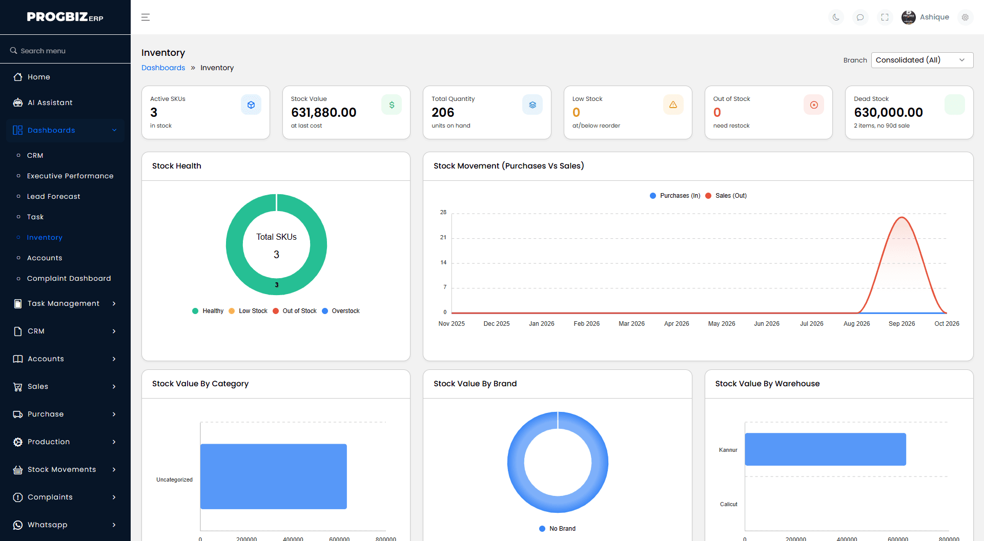 Progbiz ERP inventory dashboard across all branches