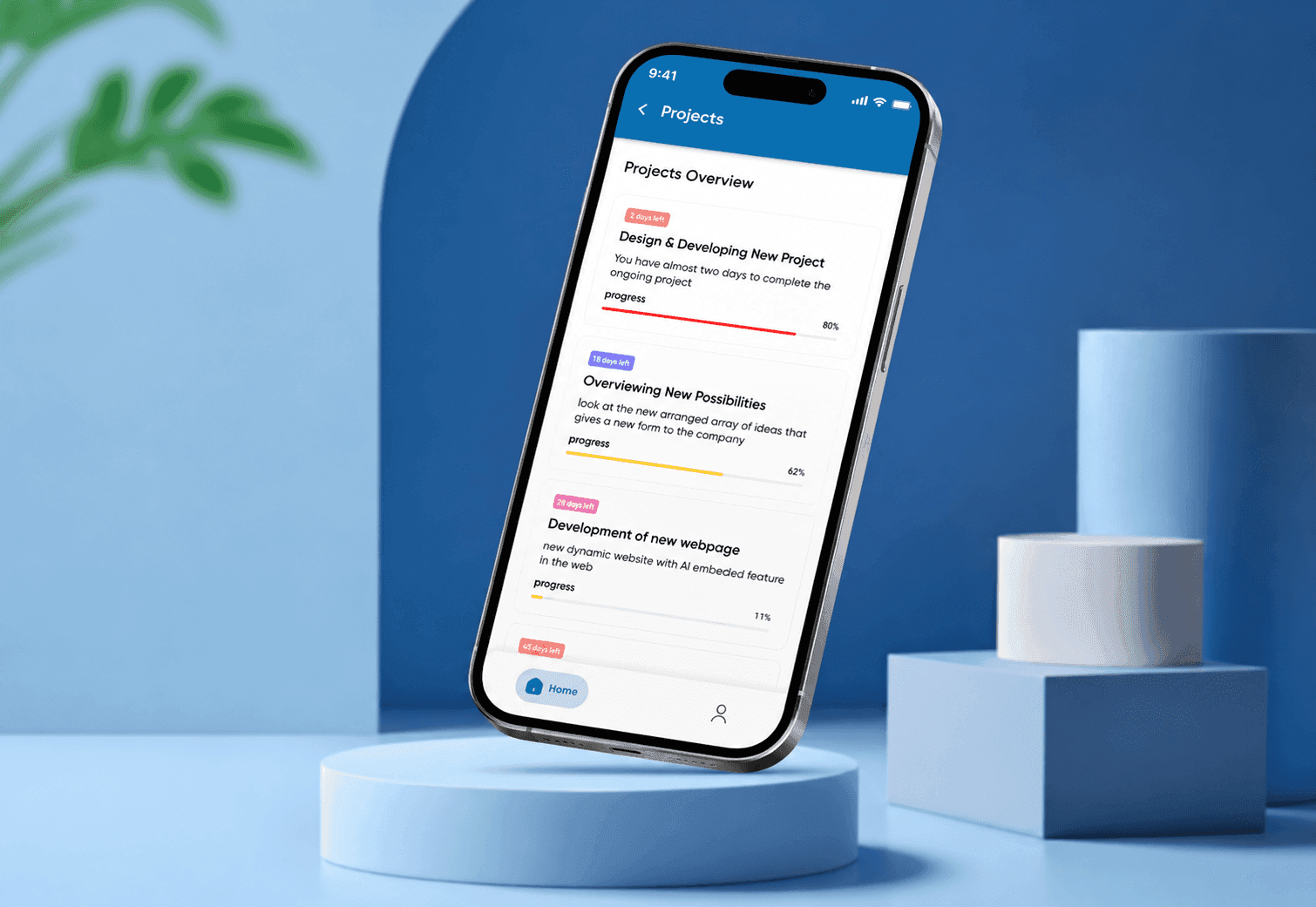 What This Project Is About